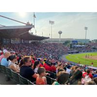 The crowd on Sunday at FirstEnergy Stadium, home of the Reading Fightin Phils