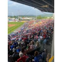 The crowd on Sunday at FirstEnergy Stadium, home of the Reading Fightin Phils