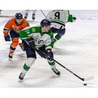 Maine Mariners defenseman Brycen Martin