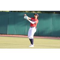 Charleston RiverDogs in the field