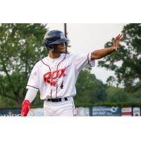 Andrew Pinckney of the St. Cloud Rox