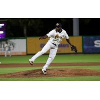 Charleston RiverDogs on the mound