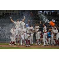 Colin Willis #7 and the Kansas City Monarchs celebrate the walk off win over the Houston Apollos