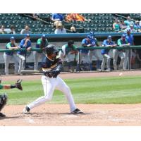 York Revolution catcher Carlos Castro