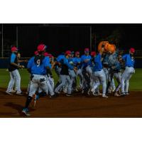 Pensacola Blue Wahoos celebrate a walk-off win