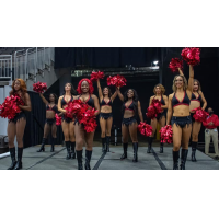 Jacksonville Sharks dance team