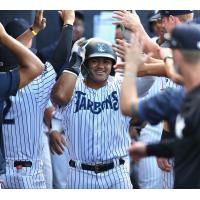 Jason Dominguez of the Tampa Tarpons is congratulated by his teammates