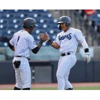 Jason Dominguez of the Tampa Tarpons gets a high five