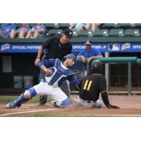 New York Boulders' catcher Phil Capra applies tag on a sliding Chuck Taylor of the Sussex County Miners