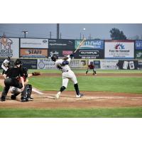 Isiah Gilliam launches a ball for the Somerset Patriots