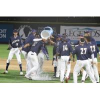 Tri-City Dust Devils celebrate Gareth Morgan's walk-off single