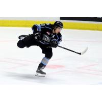 Winnipeg ICE defenseman Carson Lambos