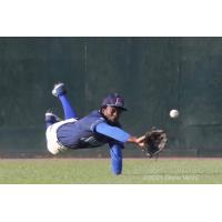 New York Boulders' CF Milton Smith, Jr. came up empty on this attempt at a diving catch