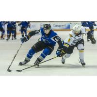 Saint John Sea Dogs forward Cam MacDonald