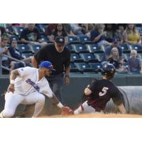 New York Boulders 3B Ray Hernandez slaps a tag on a sliding Nick Ward to get the Wild Things' baserunner on an attempted steal of third base