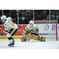 Sarnia Sting goaltender Ben Gaudreau