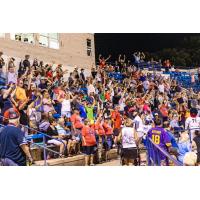 St. Cloud Rox fans cheer on the team