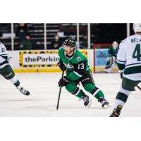 Texas Stars left wing Adam Mascherin