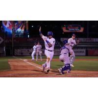 Tulsa's Jacob Amaya just beats the throw home on Donovan Casey's base hit during the Drillers win Tuesday night over the Midland RockHounds