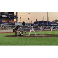 Dalton Pearson at bat for the Green Bay Booyah