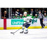 Maine Mariners forward Greg Chase