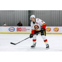 Defenseman Alexander Petrovic with the Stockton Heat