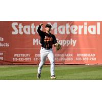 L.J. Mazzilli of the Long Island Ducks