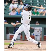 Burle Dixon takes a swing for the Columbia Fireflies