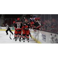 Grand Rapids Griffins celebrate a goal against the Cleveland Monsters