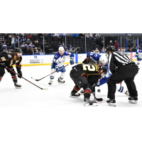 Cleveland Monsters face off with the Syracuse Crunch