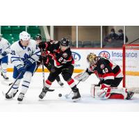 Belleville Senators goaltender Mads Sogaard vs. the Toronto Marlies