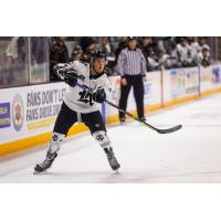 Knoxville Ice Bears left wing Dean Balsamo