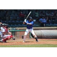 Justin Felix of the Evansville Otters at bat