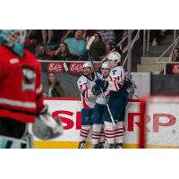 Springfield Thunderbirds celebrate a goal against the Charlotte Checkers