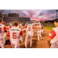 Ottawa Titans celebrate Jason Dicochea's walk-off base-hit in the tenth inning