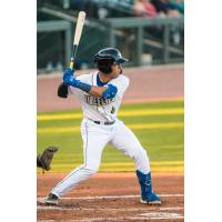 Omar Hernandez at bat for the Columbia Fireflies