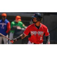 Carolina Mudcats outfielder Hedbert Perez