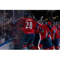 Springfield Thunderbirds mob Matthew Peca after his overtime winner