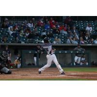 Lincoln Saltdogs infielder Josh Altmann