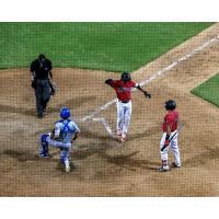 Birmingham Barons react after plating a run