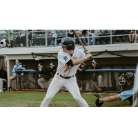 Fond du Lac Dock Spiders at the plate