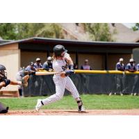 Northern Colorado Owlz at the plate