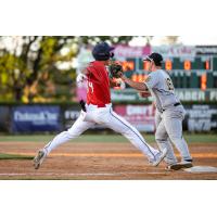 Albert Choi of the St. Cloud Rox