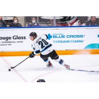 Forward Chase Wheatcroft skating with the Winnipeg ICE