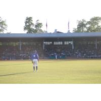 Evansville Otters outfielder Miles Gordon