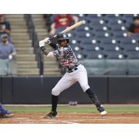 Tampa Tarpons at bat