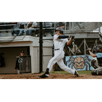 Evan Stone at bat for the Fond du Lac Dock Spiders