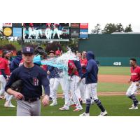 Tacoma Rainiers celebrate a walk-off win