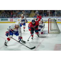 Springfield Thunderbirds battle the Laval Rocket