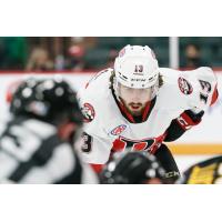 Belleville Senators right wing Egor Sokolov